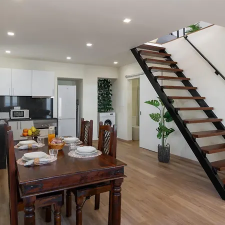 Madeira Friendly By An Island Funchal (Madeira)