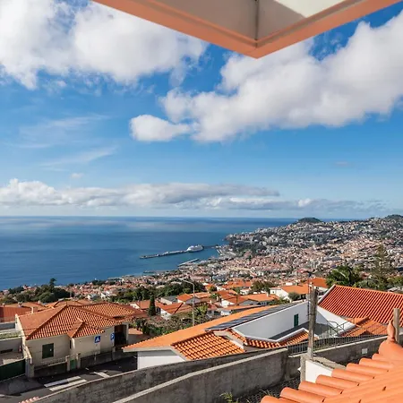 Madeira Friendly By An Island Funchal (Madeira)