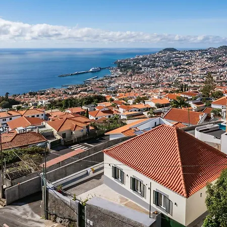 Madeira Friendly By An Island Funchal (Madeira)